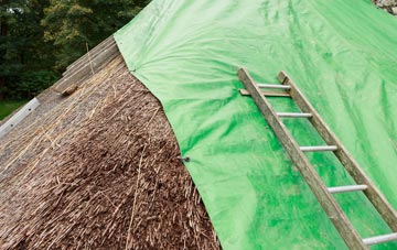 maintaining Balfour thatch