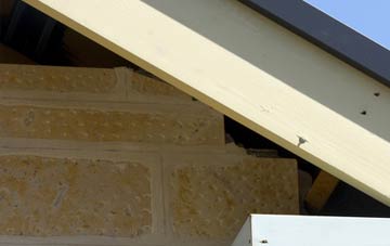 soffit repair Balfour